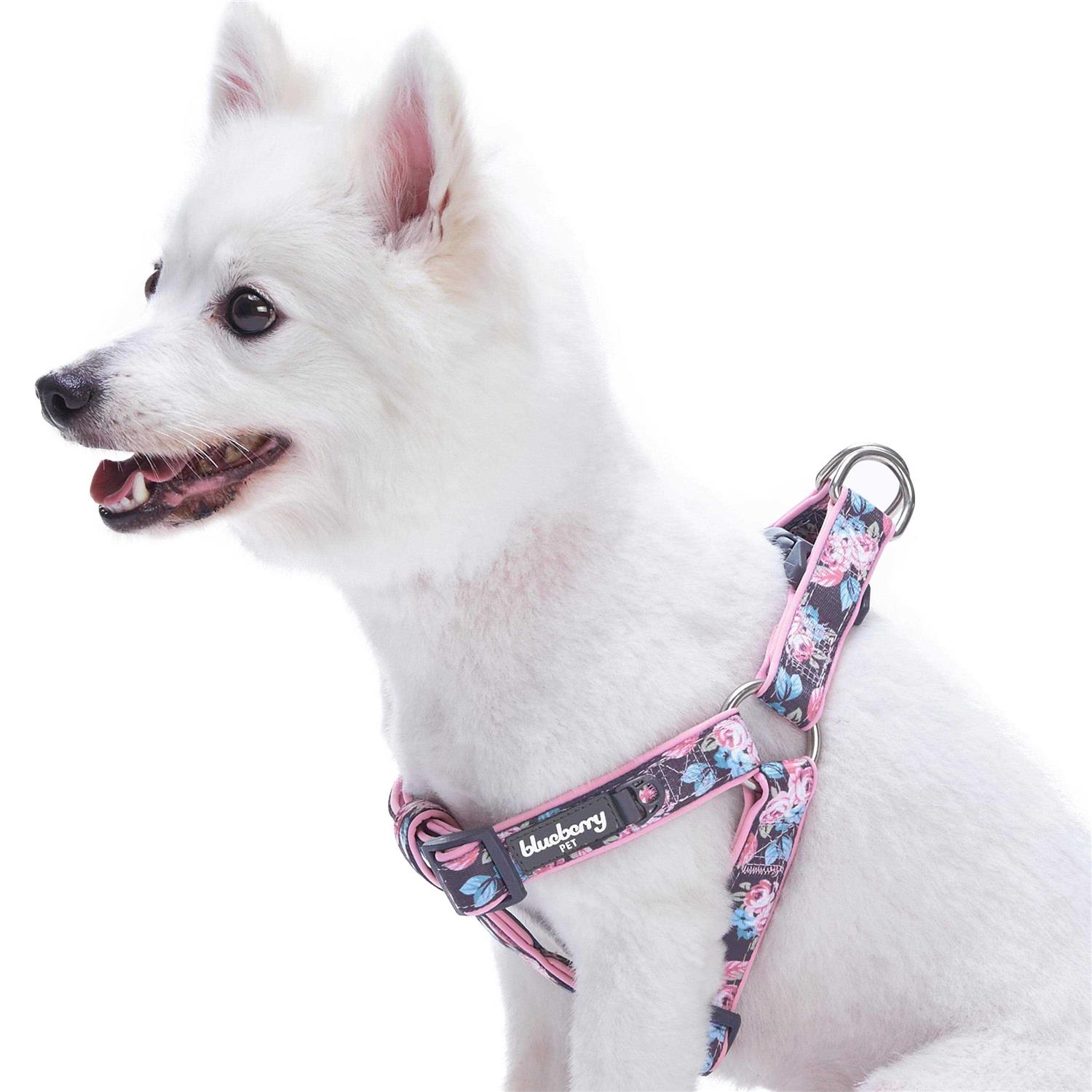 Blueberry Pet Step Dog Harness