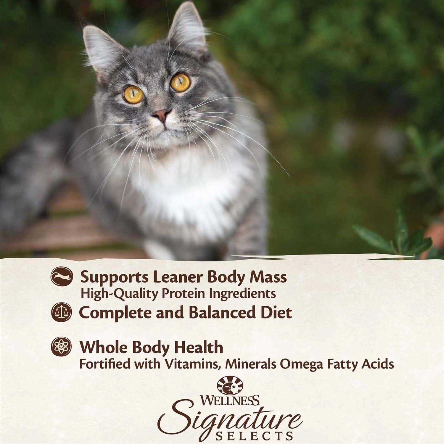 Wellness Signature Selects Grain Free Flaked Skipjack Tuna & Wild Salmon Entree Canned Cat Food