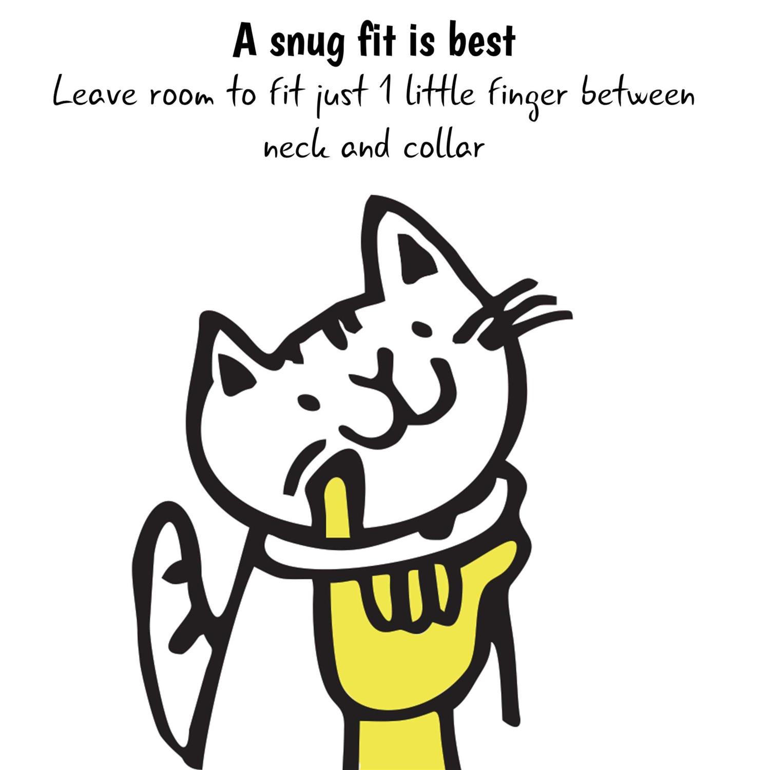 Kittyrama Breakaway Bell Cat Collar