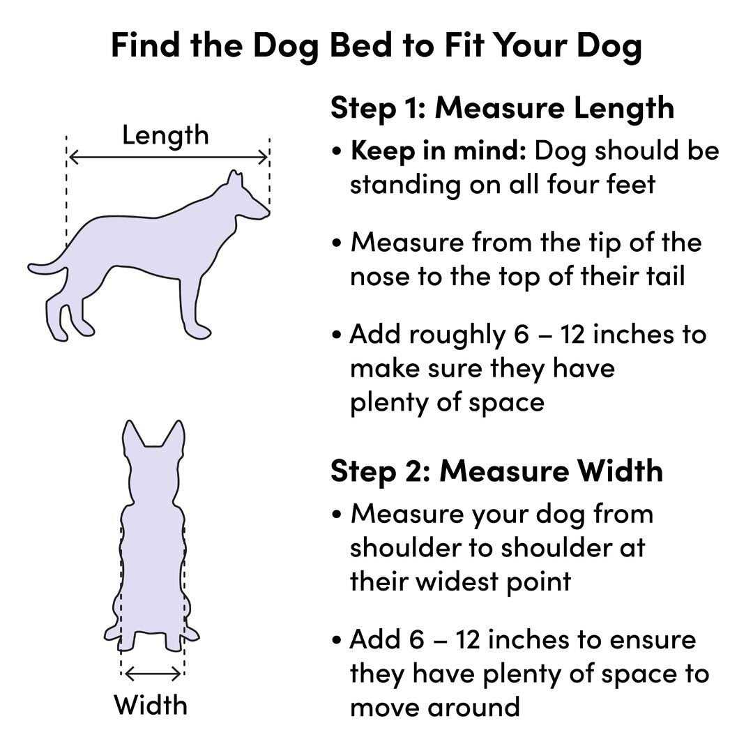 La-Z-Boy Newton Dog Sofa
