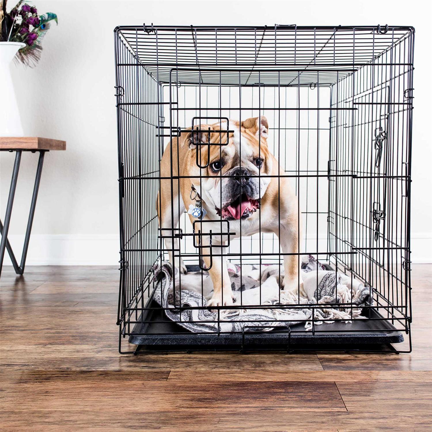 Paws Pals Double-Door Folding Wire Dog Crate