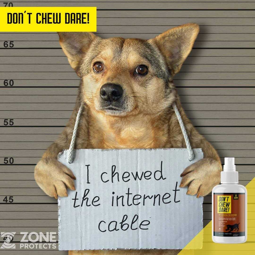 Zone Protects Don’t Chew Dare! Indoor Dog Chewing Prevention Spray