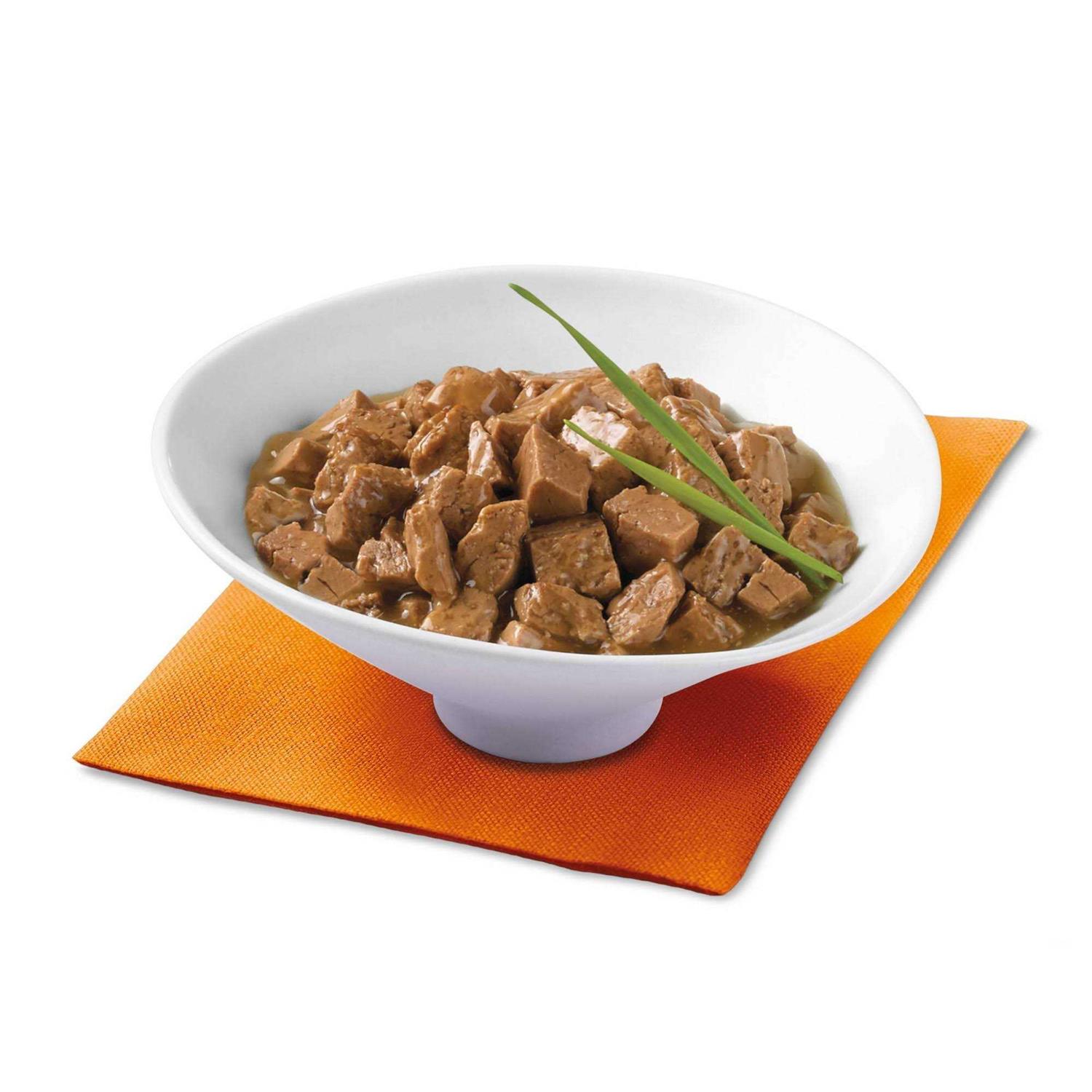 Purina Fancy Feast Gravy Wet Cat Food Variety Pack Poultry Lovers Sliced Collection