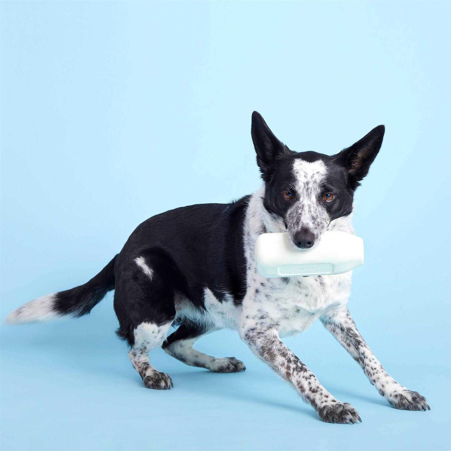 BARK Super Chewer Cow Dog Toy