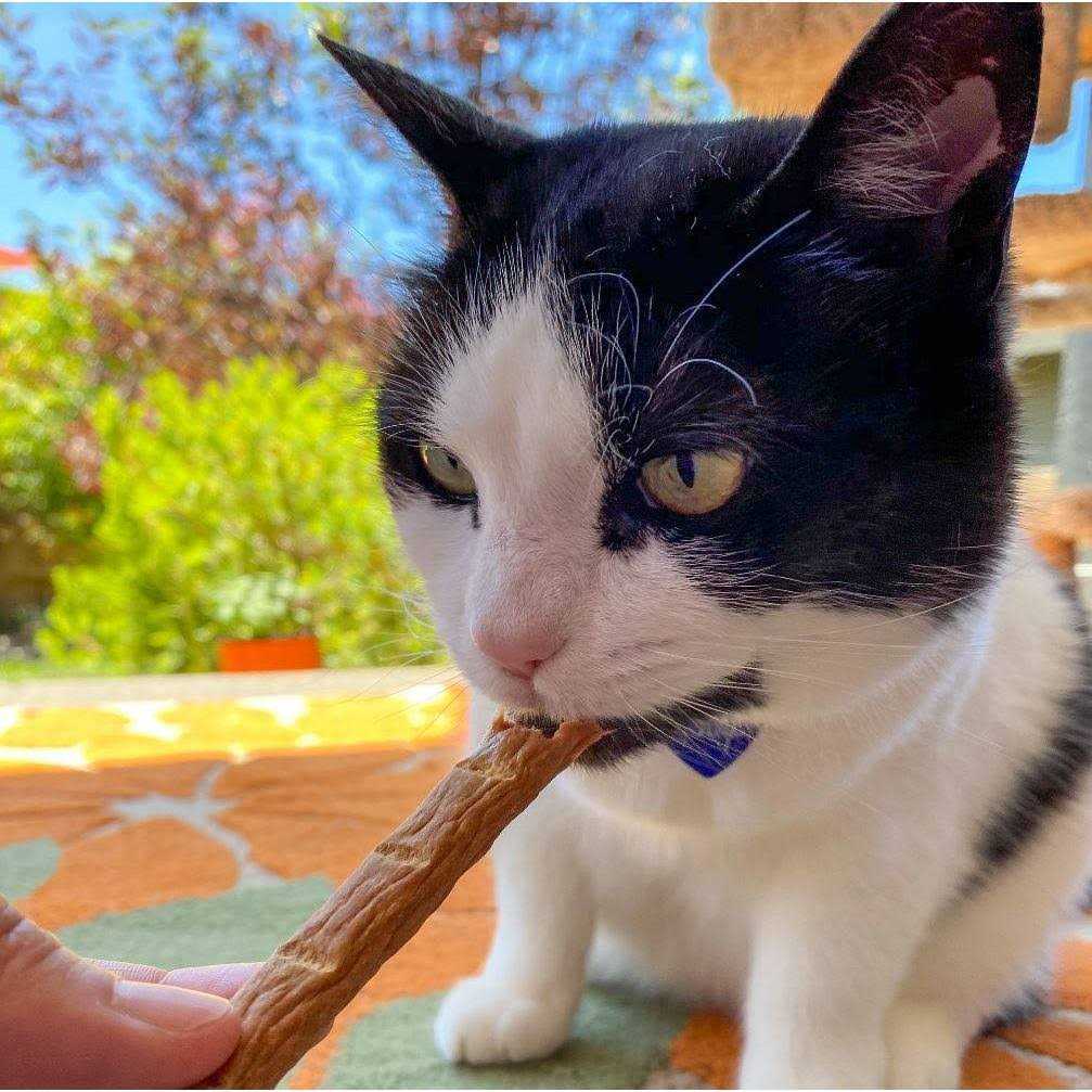 Vitakraft PurrSticks Chicken Cat Treats