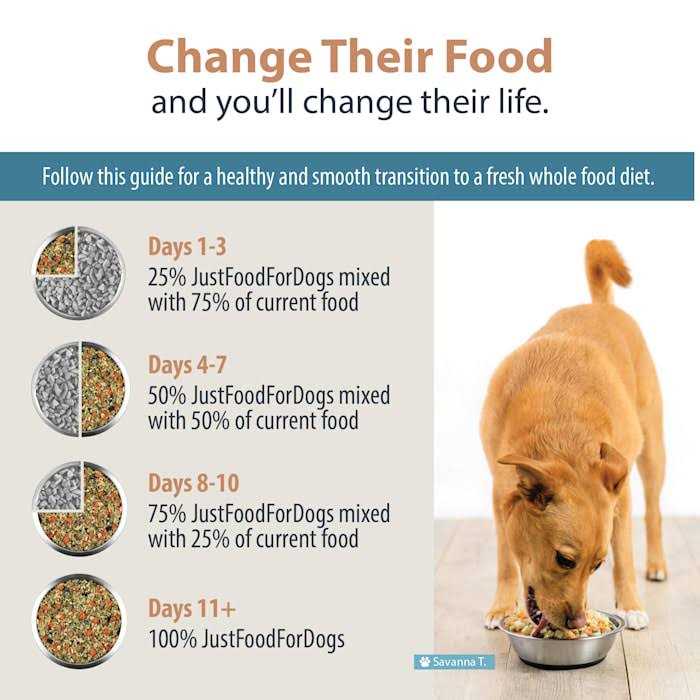 JustFoodForDogs Renal Support Low Protein Diet