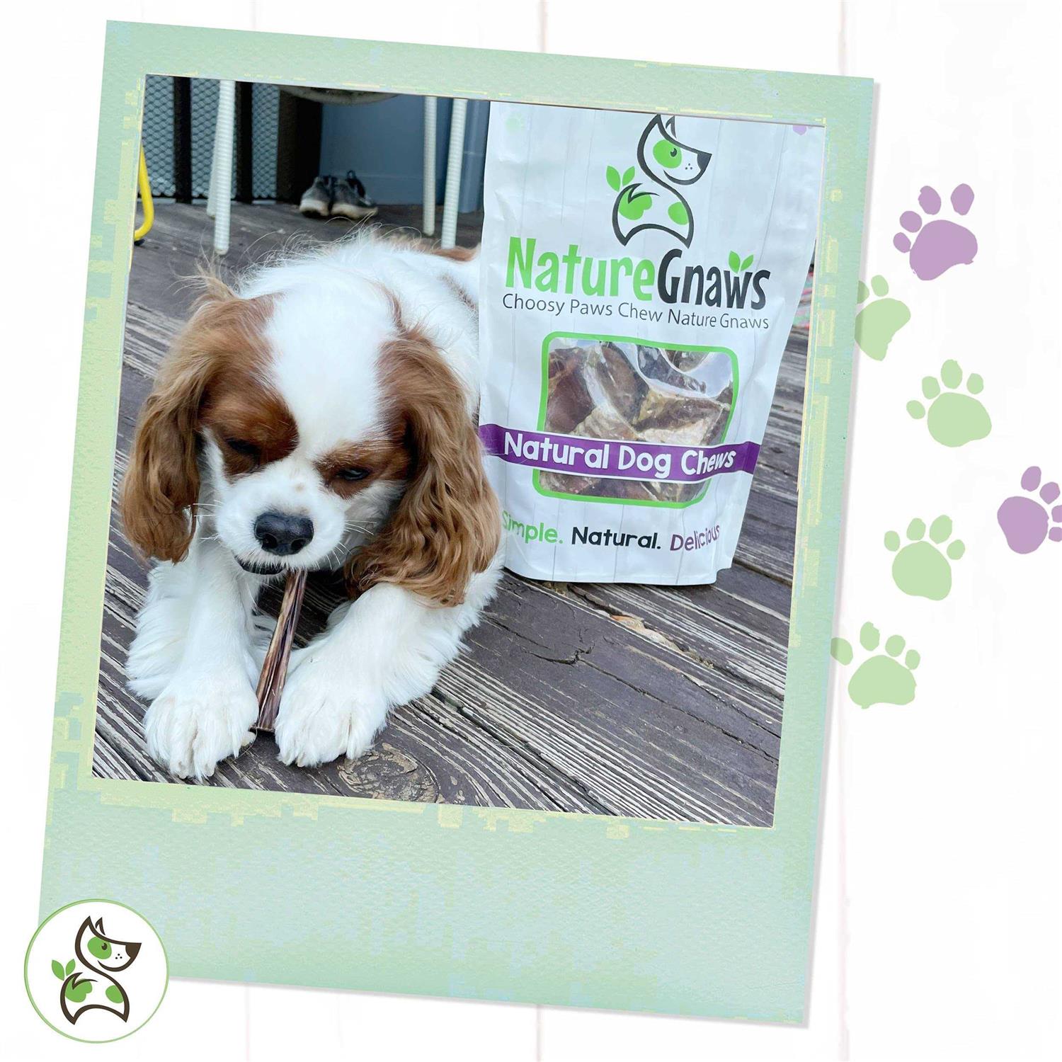 Nature Gnaws Bully Sticks for Dogs Premium Natural Beef Bones