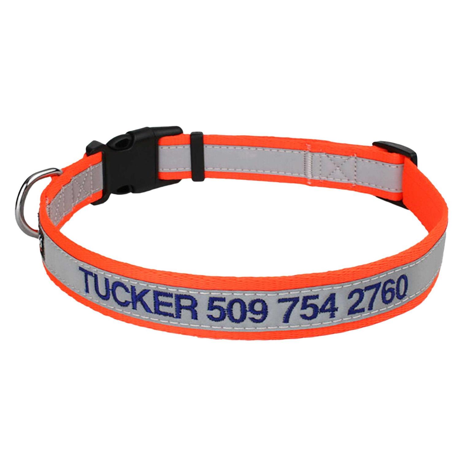 GoTags Nylon Personalized Dog Collar