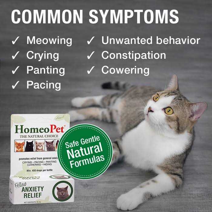 HomeoPet Feline Anxiety Relief