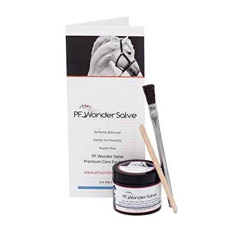 PF Wonder Salve Equine Wound Paste 2 oz. Proud Flesh Treatment Veterinarian Form