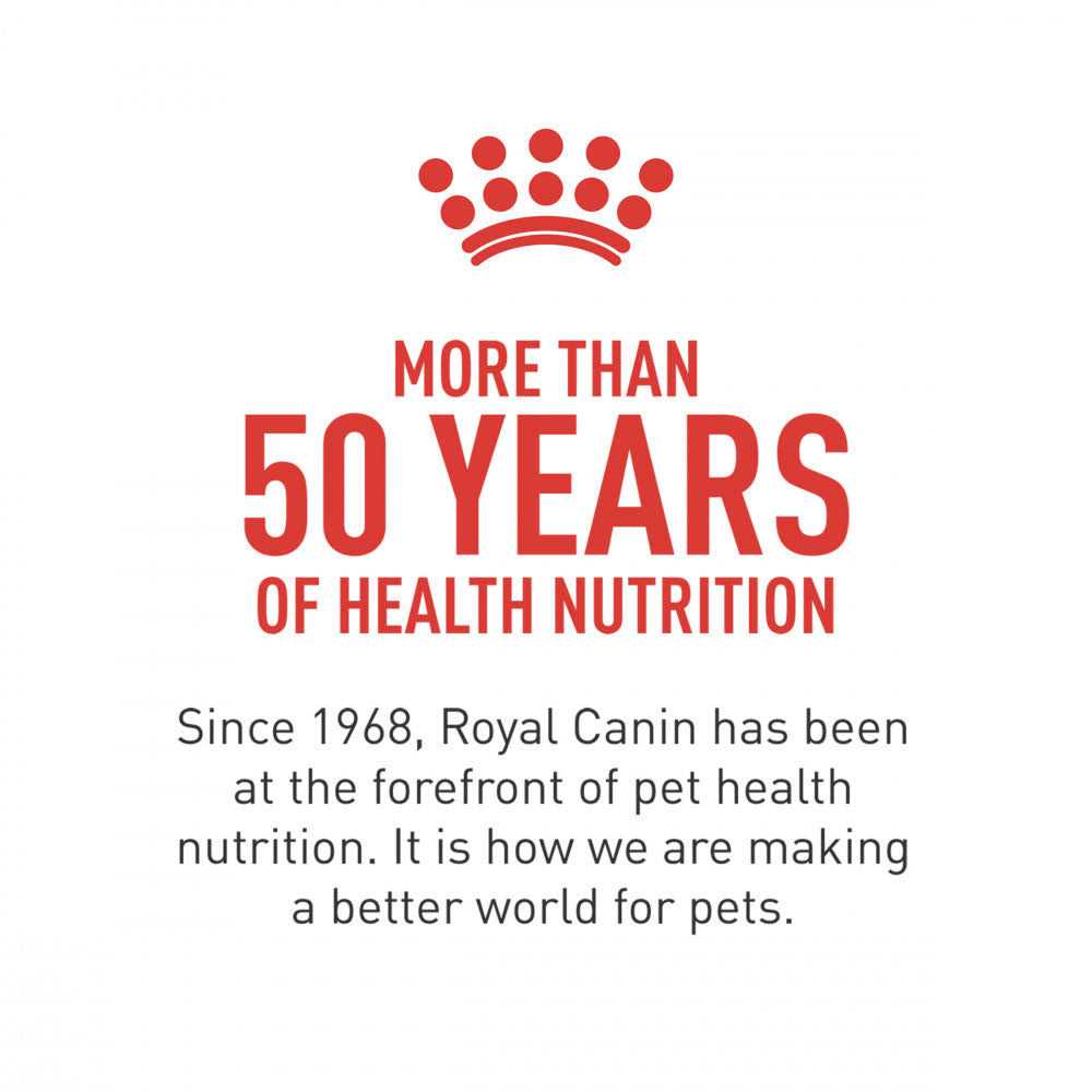 Royal Canin Breed Health Nutrition Dachshund Puppy Dry Dog Food