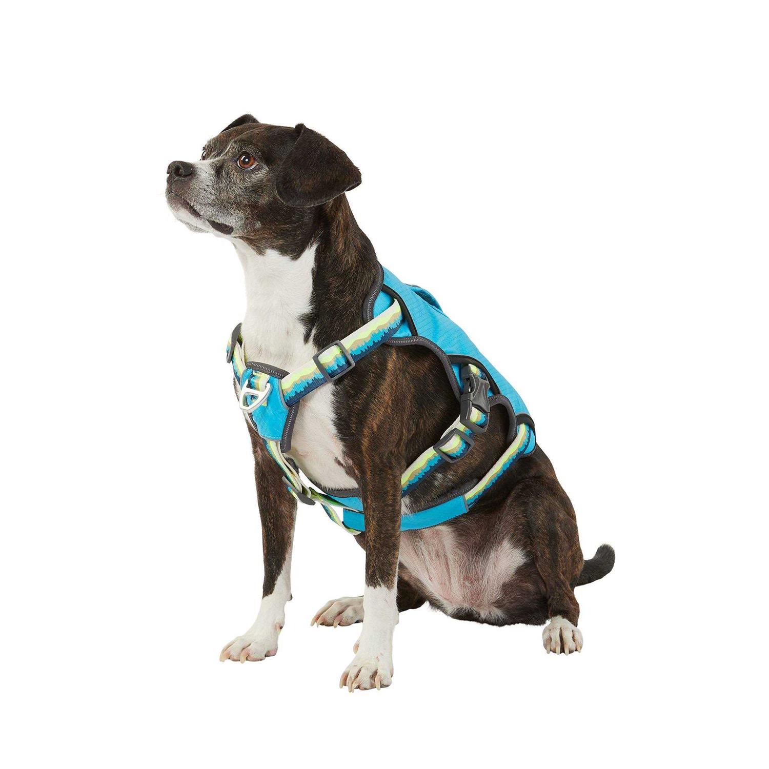 Arcadia Trail LED Ultimate Safety Dog Harness