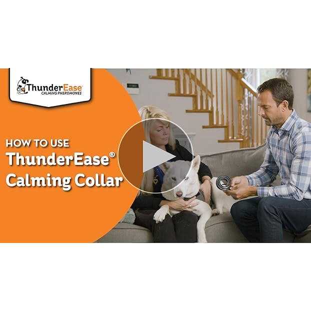ThunderEase Calming Dog Collar