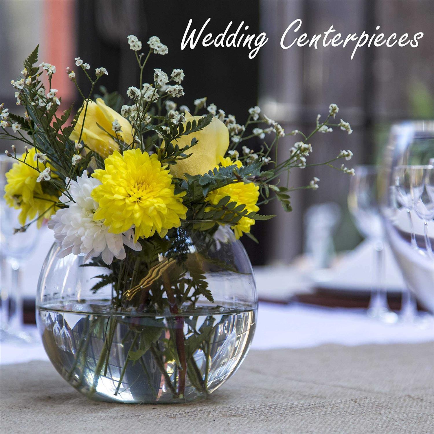 CYS EXCEL Store CYS EXCEL Glass Bubble Bowl Multiple Size Choices Fish Bowl Vase Glass Round Bowl Terrarium Globe