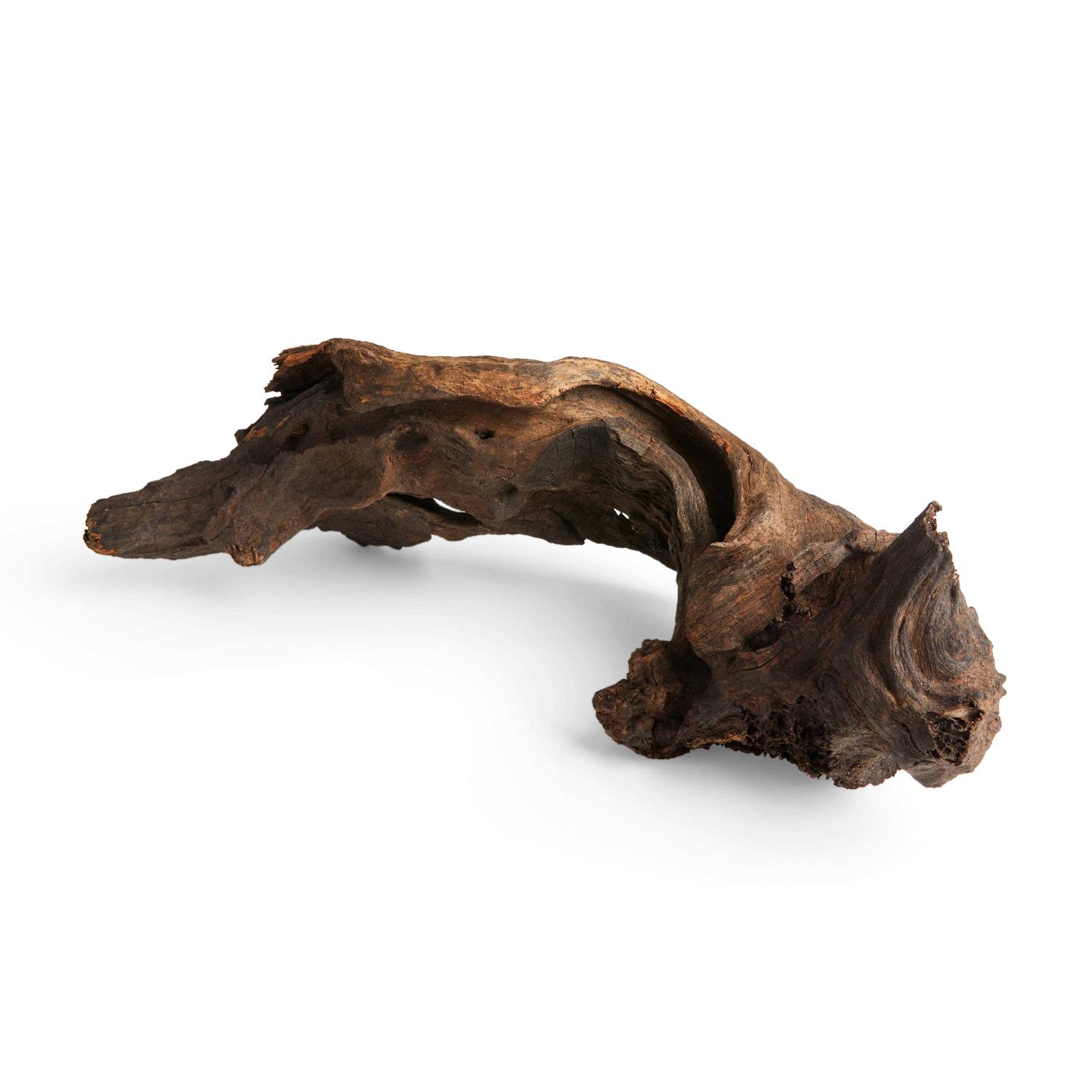 Imagitarium Driftwood