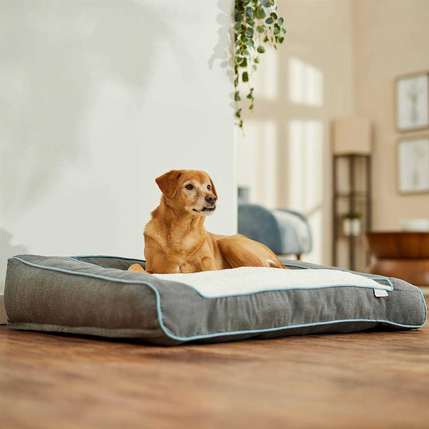 Frisco Orthopedic Bolster Dog Bed w/Removable COVER