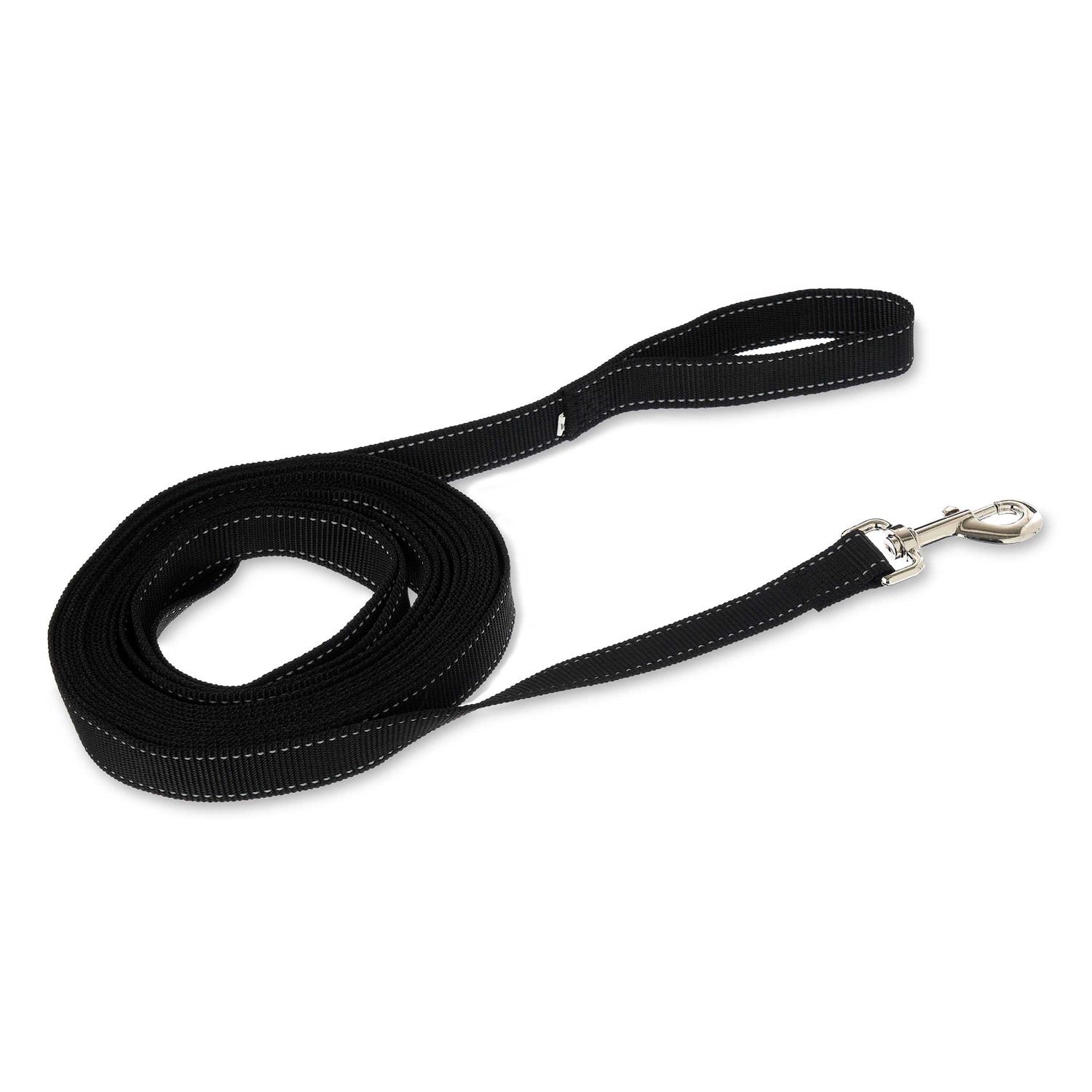 Vibrant Life 20′ Polyester Slip Lead Dog Leash