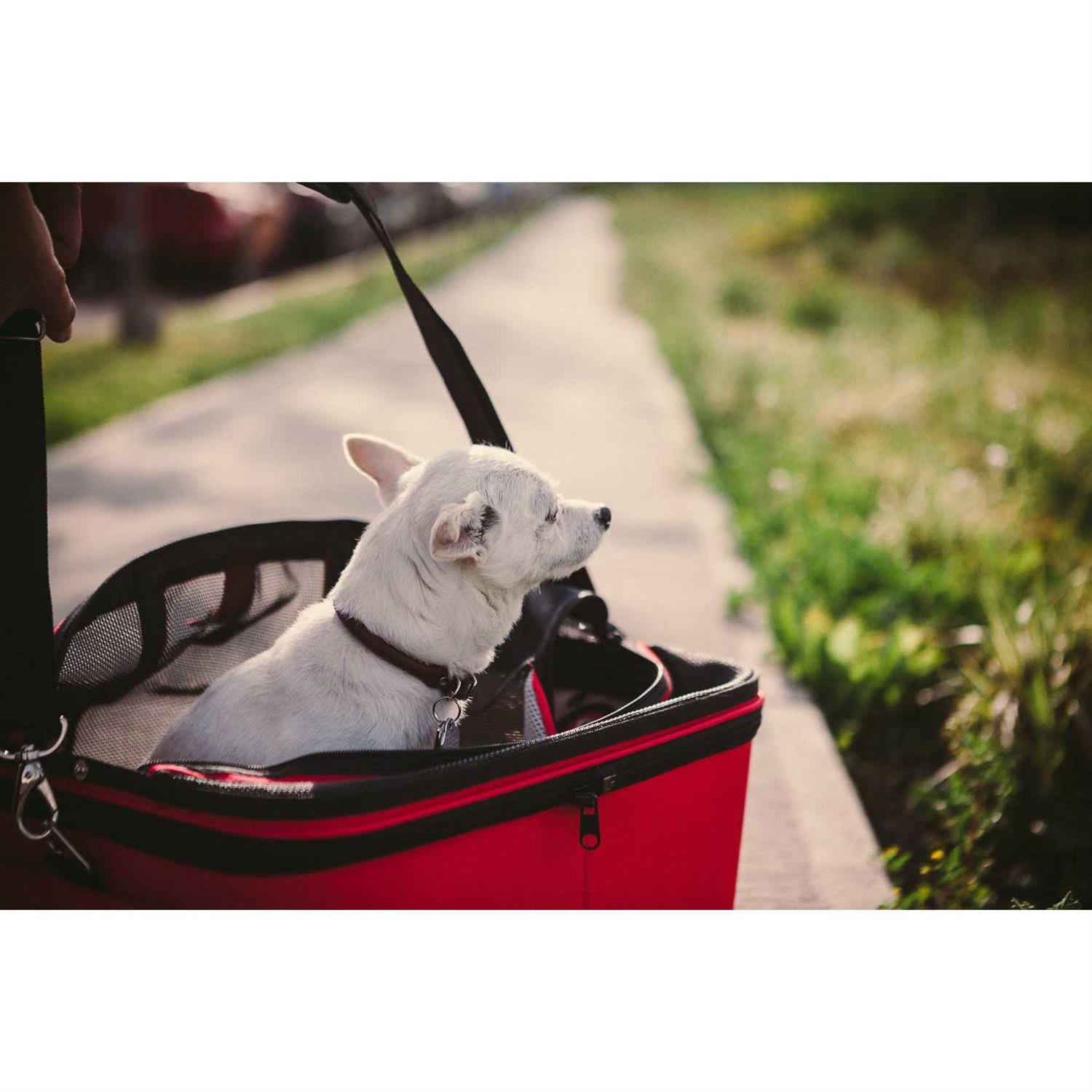 One for Pets The Cozy Pet Carrier