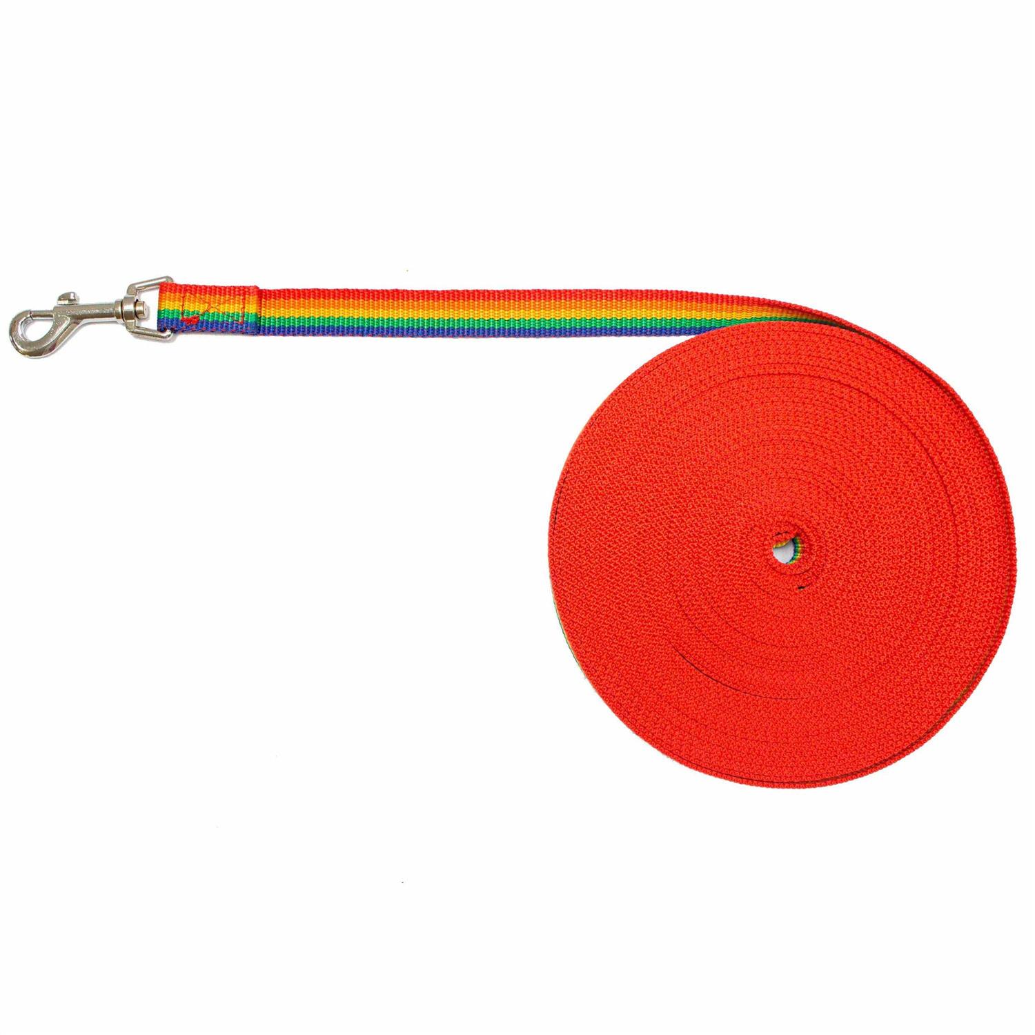 Downtown Pet Supply Long Lead Leash for Dog Training