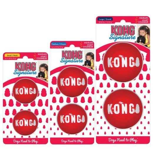 Kong Signature Ball Dog Toy
