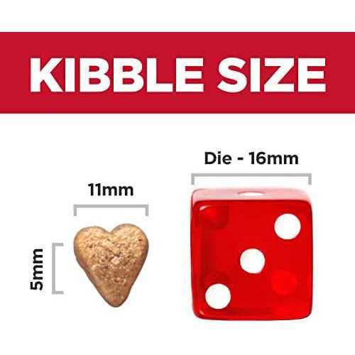 Hill’s Science Diet Adult Perfect Weight & Joint Support Chicken Recipe Dry Dog Food