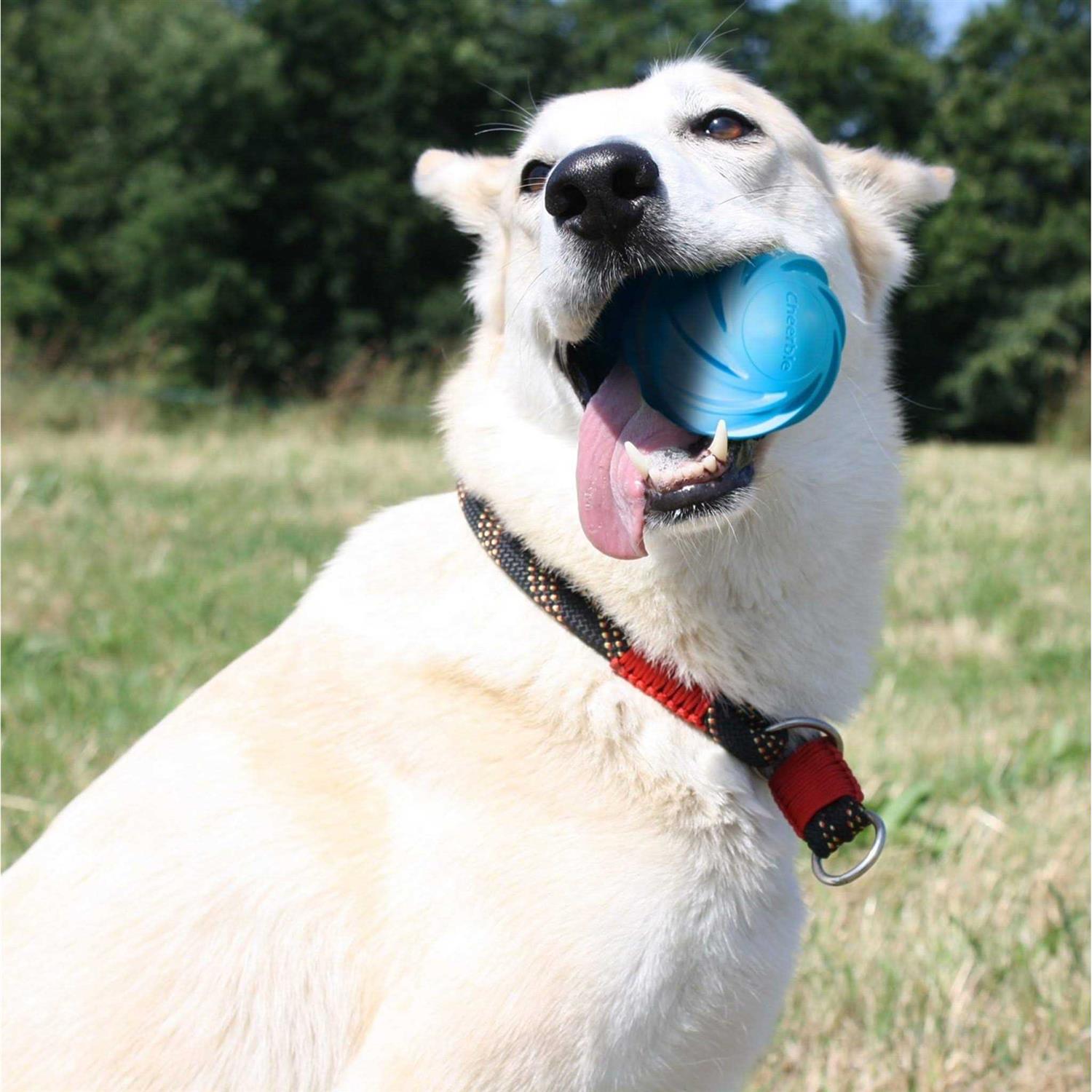 Cheerble Wicked Ball 100% Automatic & Interactive Dog Ball Toy