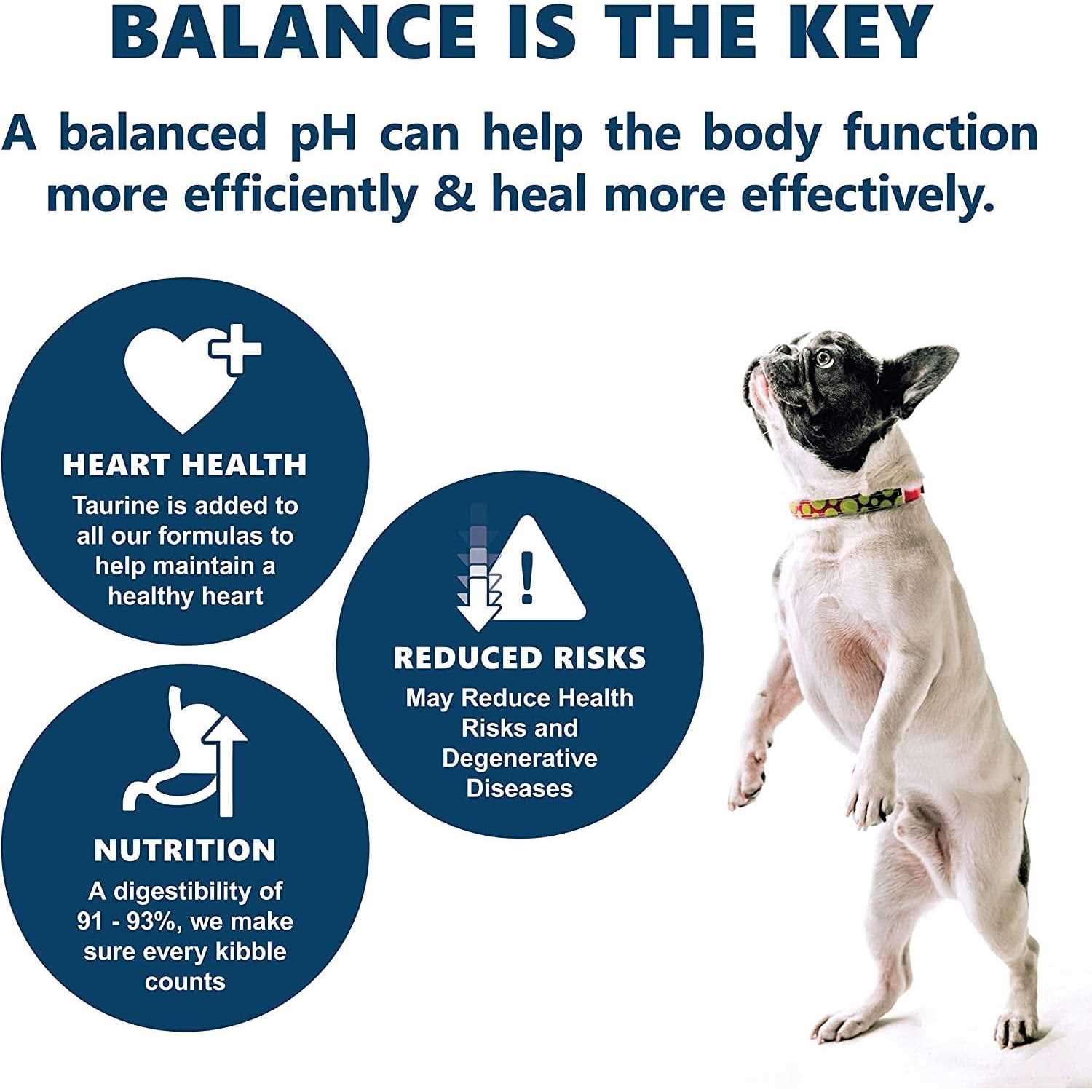 Canine Caviar Free Spirit Holistic Dry Dog Food