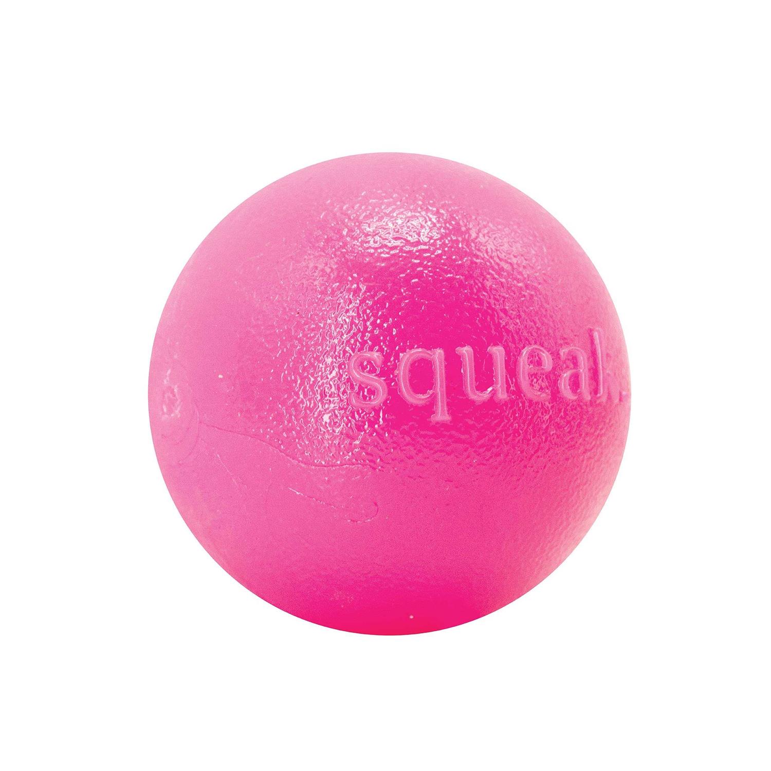 Planet Dog Orbee-Tuff Squeak Toy Ball