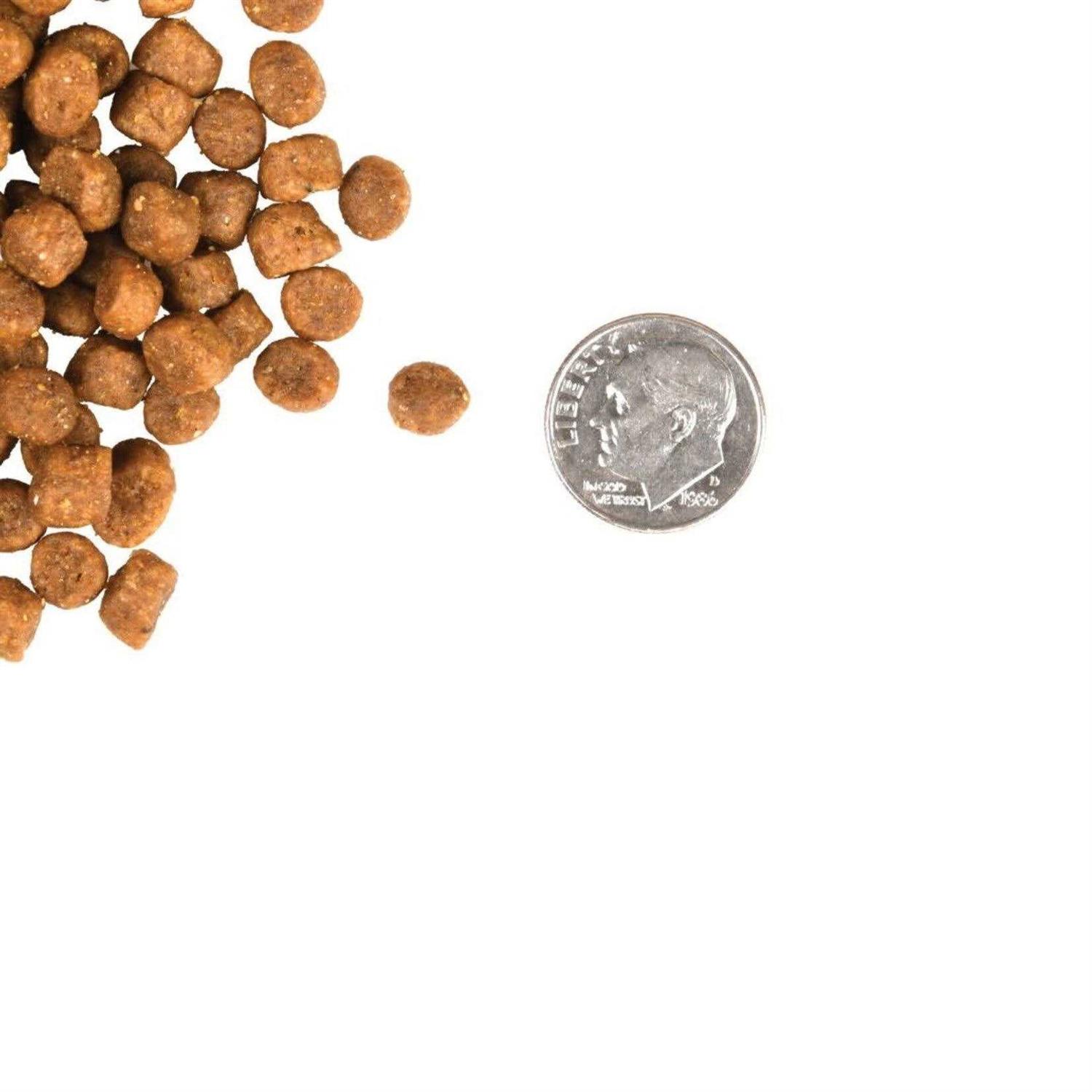 Fromm Gold Cat Food