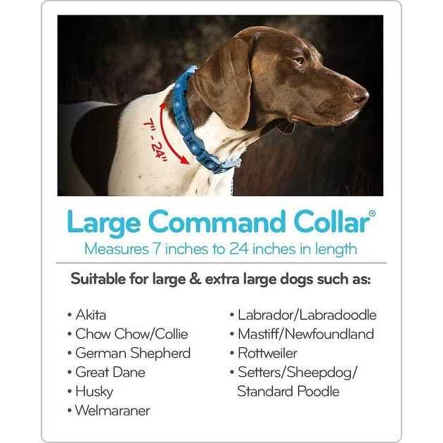 The Perfect Dog Command Training Dog Collar, Medium/Large