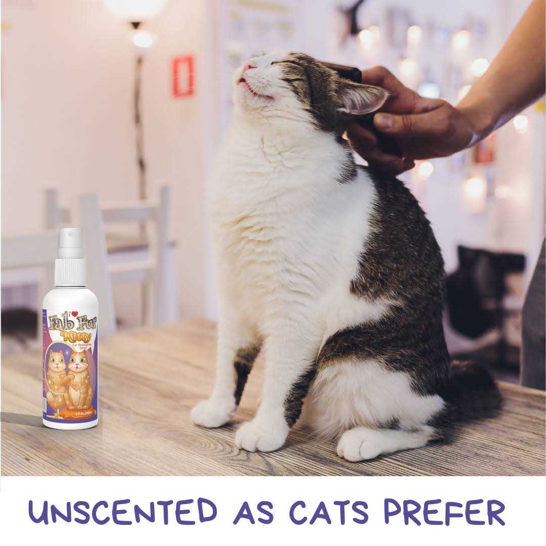 Pet MasterMind Fab Fur Kitty Detangling Cat Spray