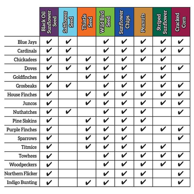 Ace Songbird Black Oil Sunflower Seed Wild Bird Food