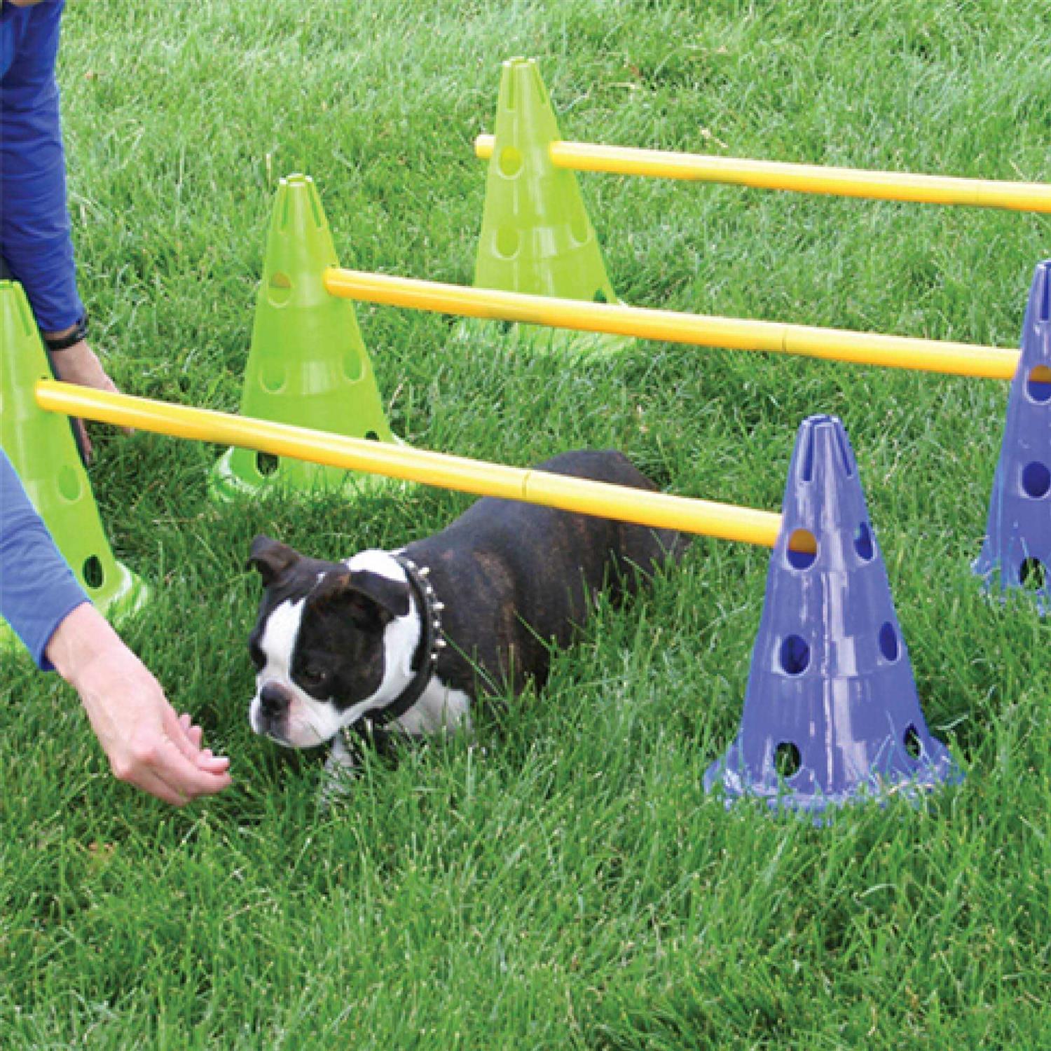 FitPAWS CanineGym Dog Agility Kit