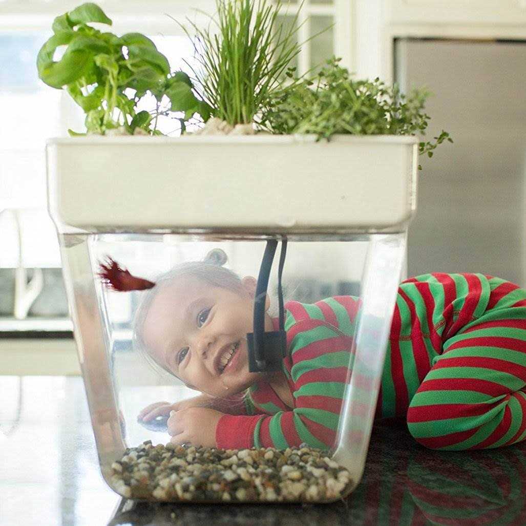 Back to the Roots Water Garden