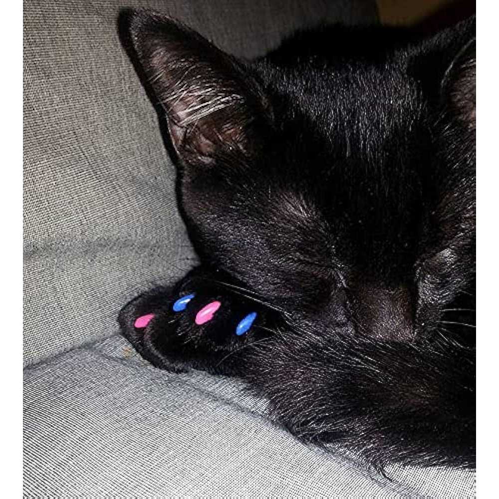 Purrdy Paws Soft Nail Caps for Cat Claws