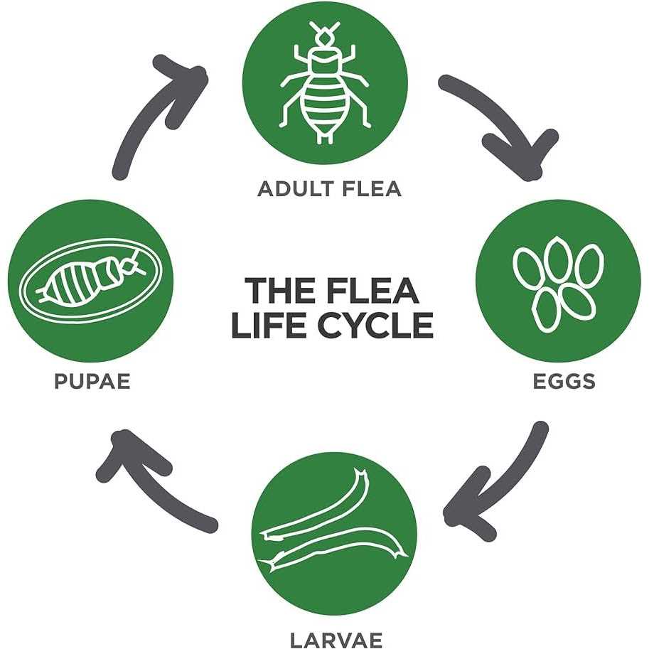 TevraPet Actispot II Flea Treatment for Large Cats