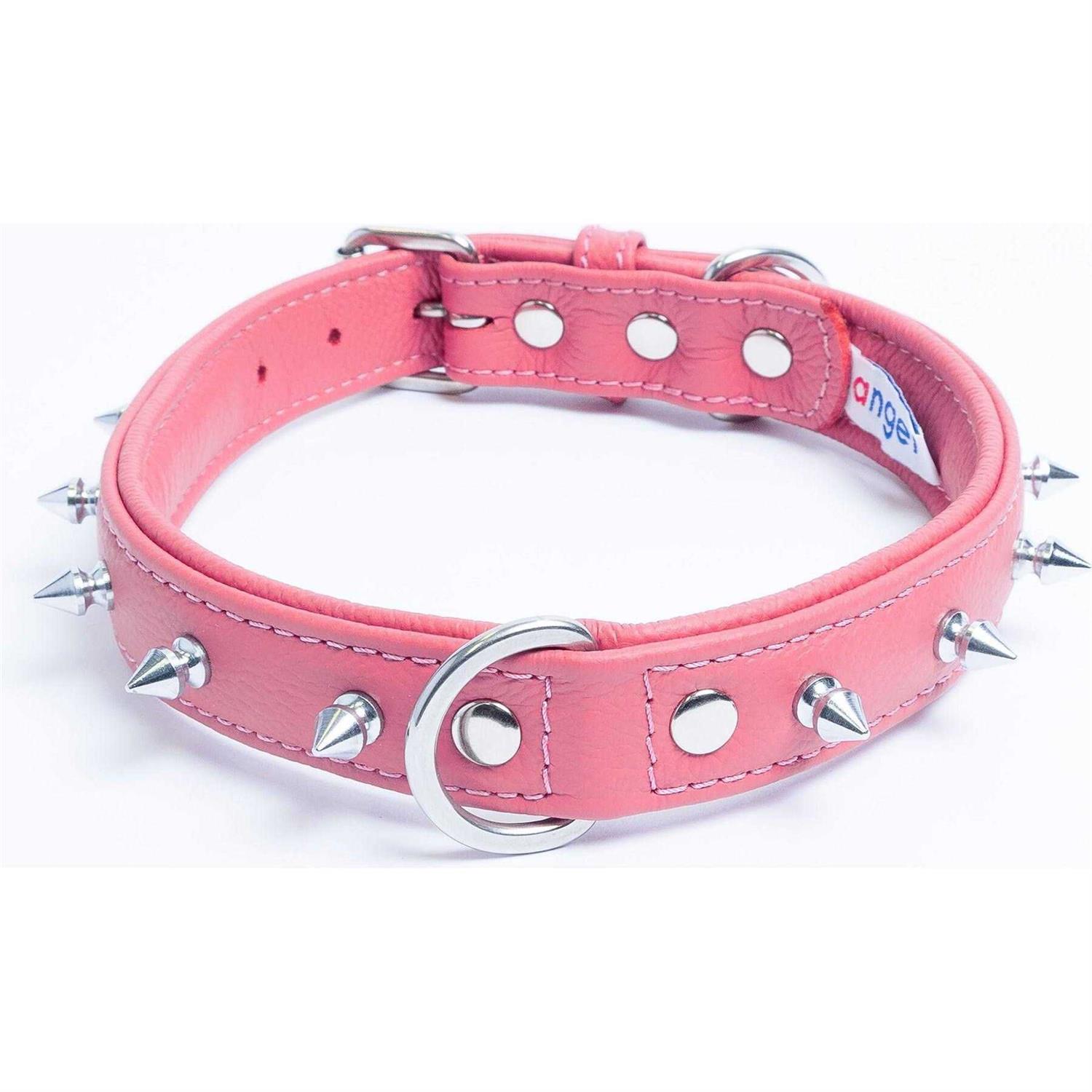 Rotterdam Dog Collar Spiked