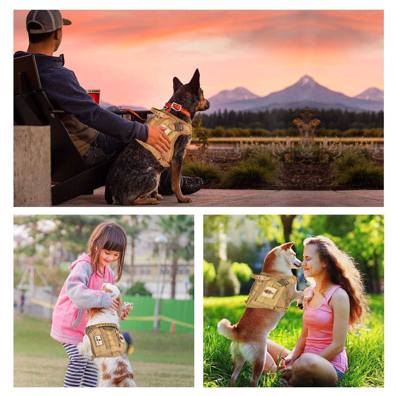 SALFSE Tactical Service Dog Vest Harness K9 Military Molle Dog Vest for Outdoor Training Hunting Pet Harness with Rubber Handle & Metal