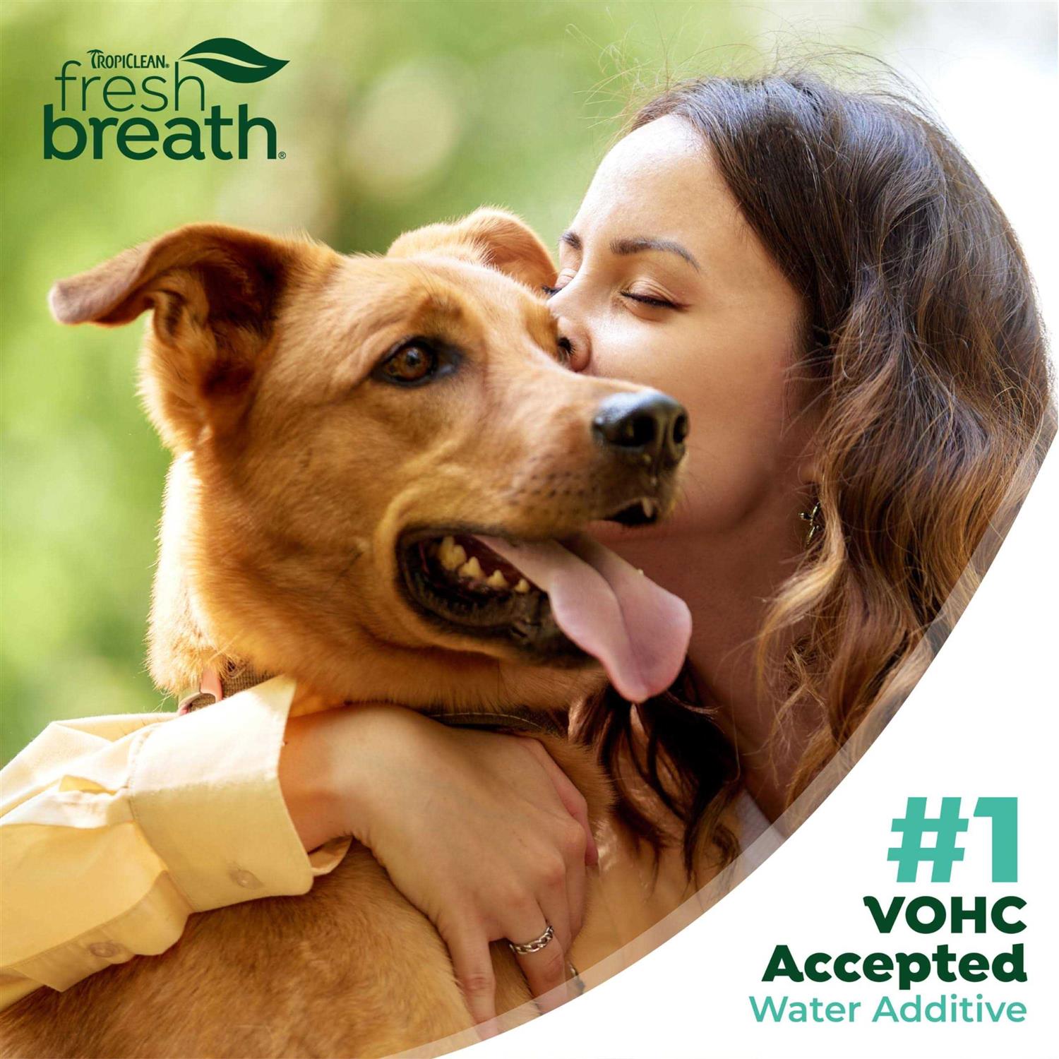 TropiClean Fresh Breath Original Dog Oral Care Water Additive Dog Breath Freshener Additive for Dental Health