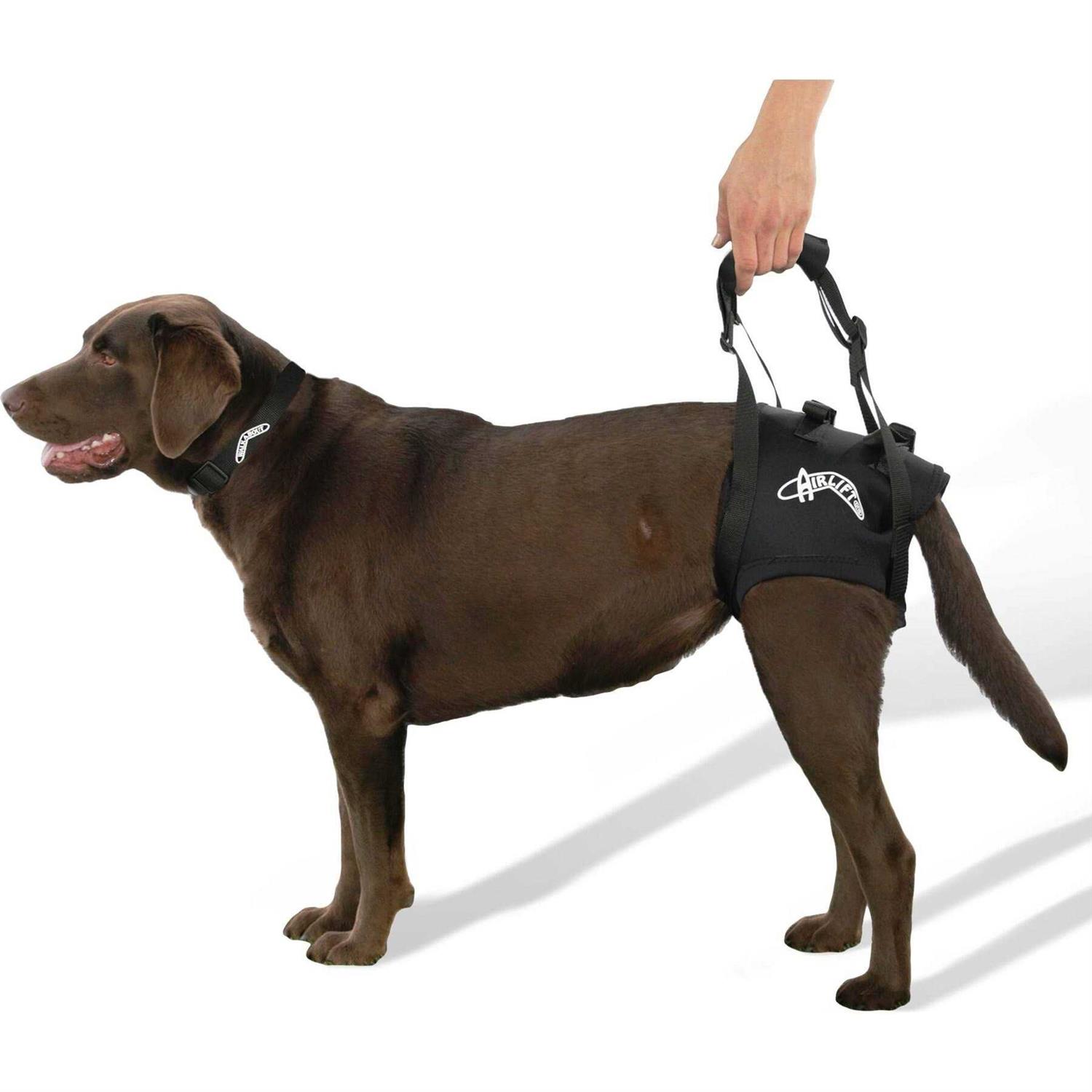 Walkabout Airlift One Support Harness