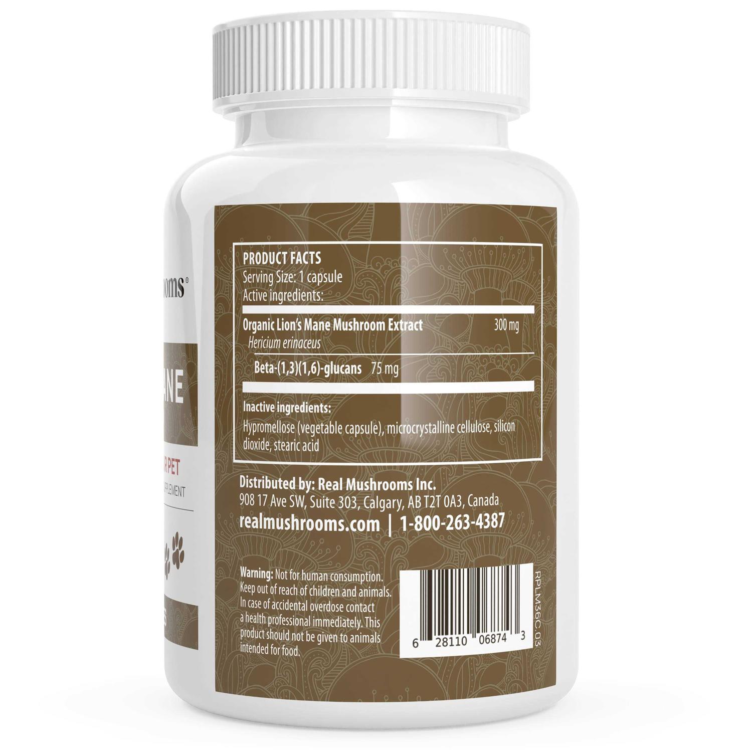 Real Mushrooms Lion’s Mane