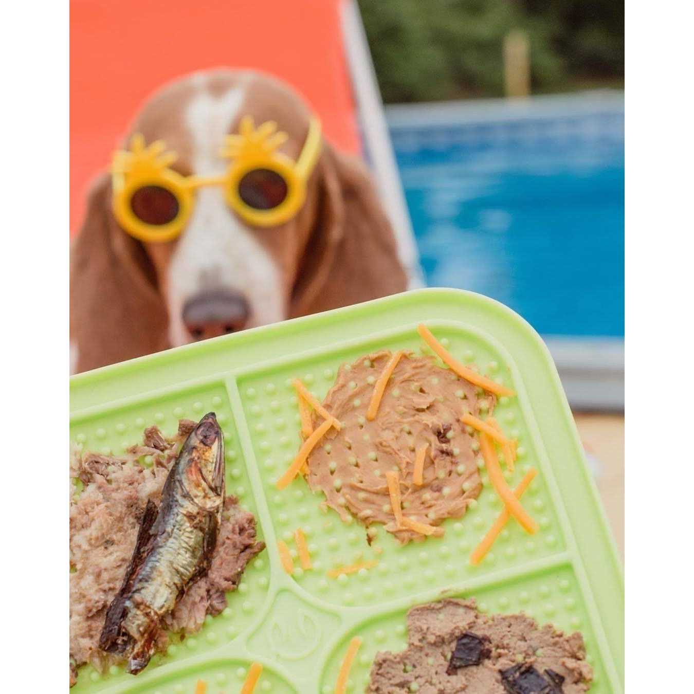 Boredom Busters Licking Mat