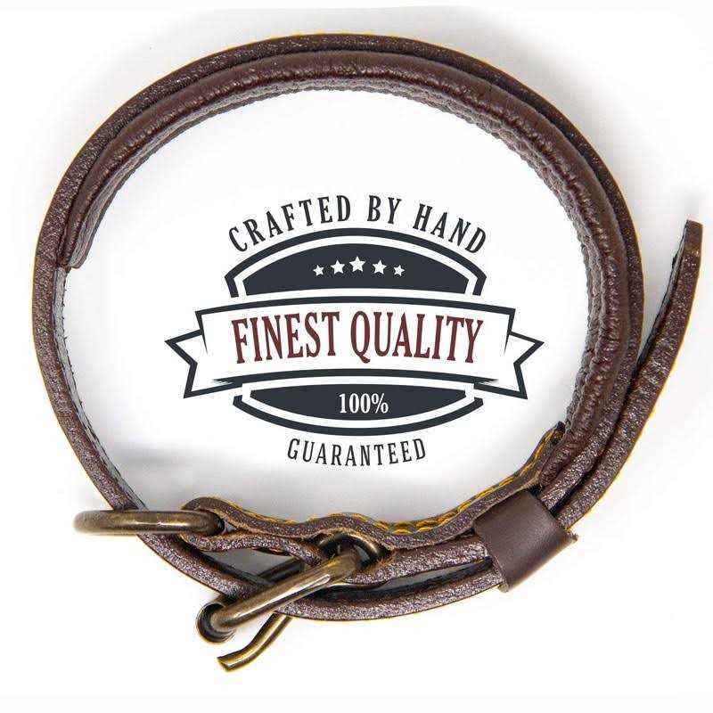 Logical Leather Padded Dog Collar Best Full Grain Genuine Leather Collar