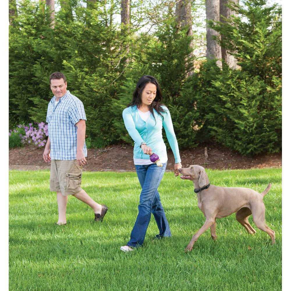 PetSafe Stay & Play Wireless Fence with Replaceable Battery Collar