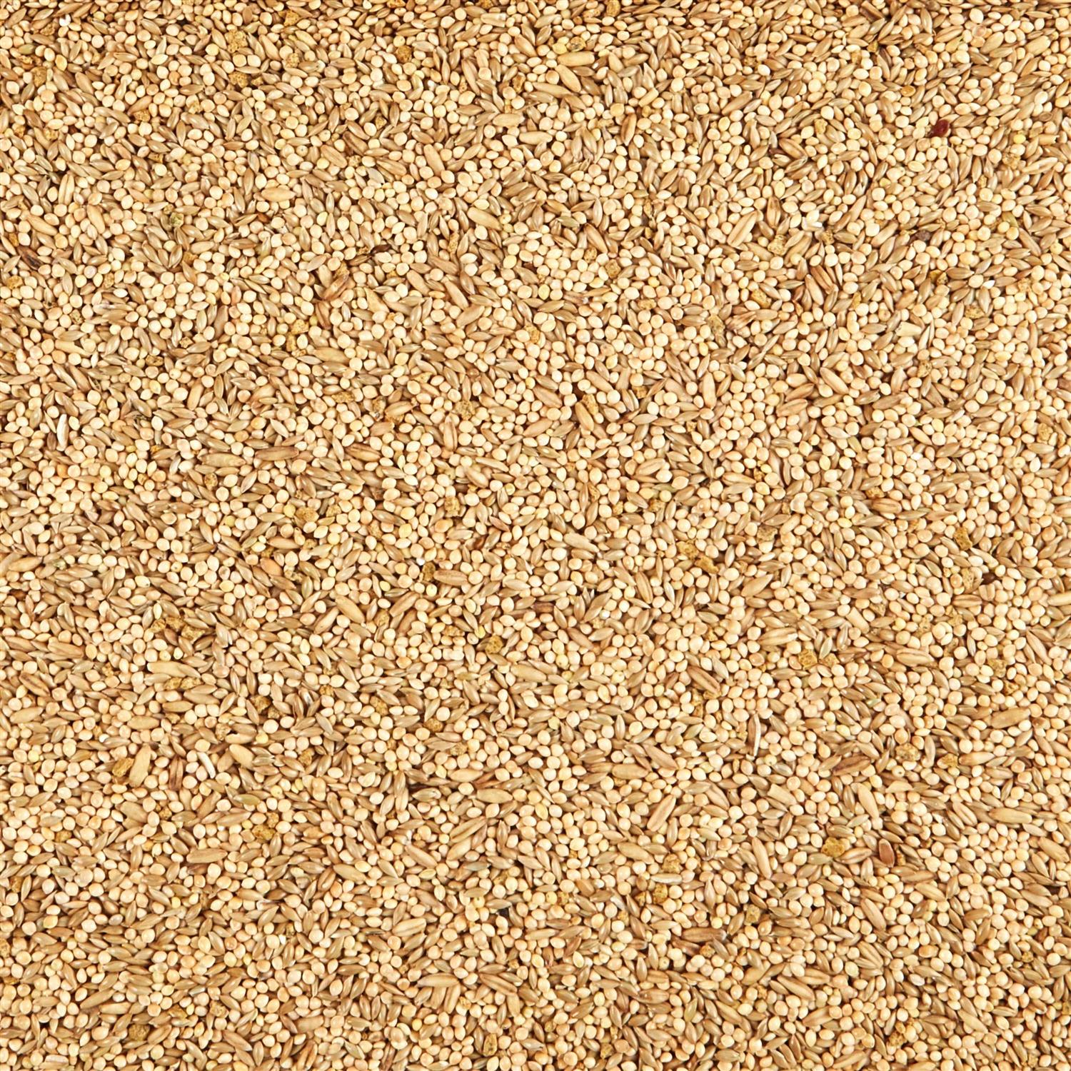 Kaytee Supreme Parakeet Food