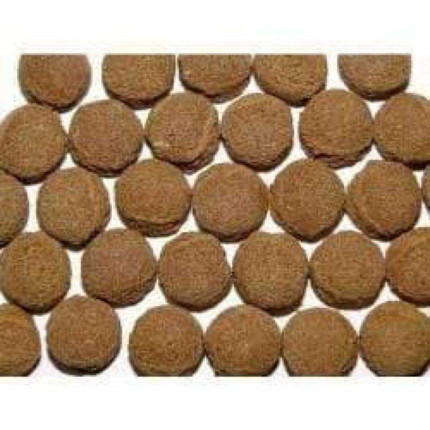 Northfin Carnivore Formula