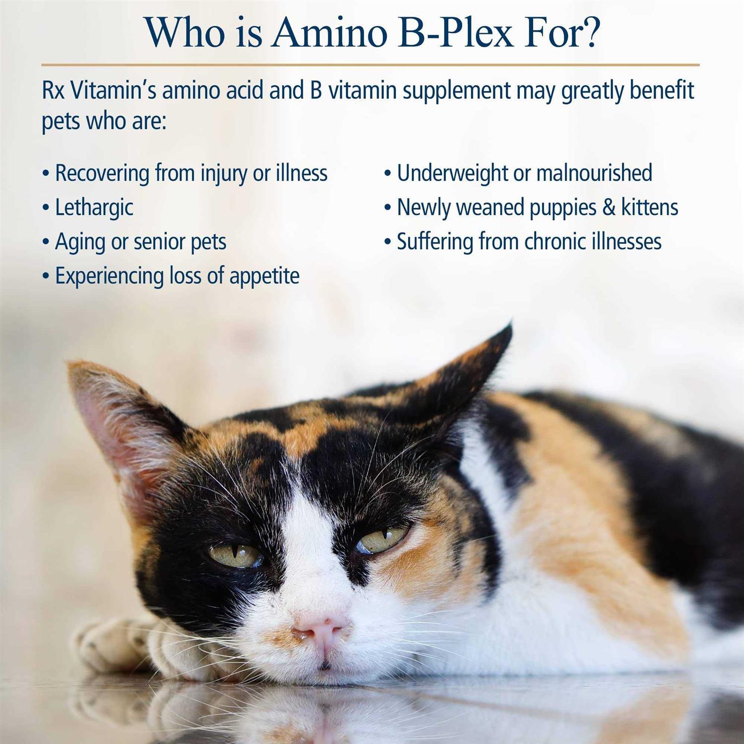Rx Vitamins Amino B-Plex for Pets
