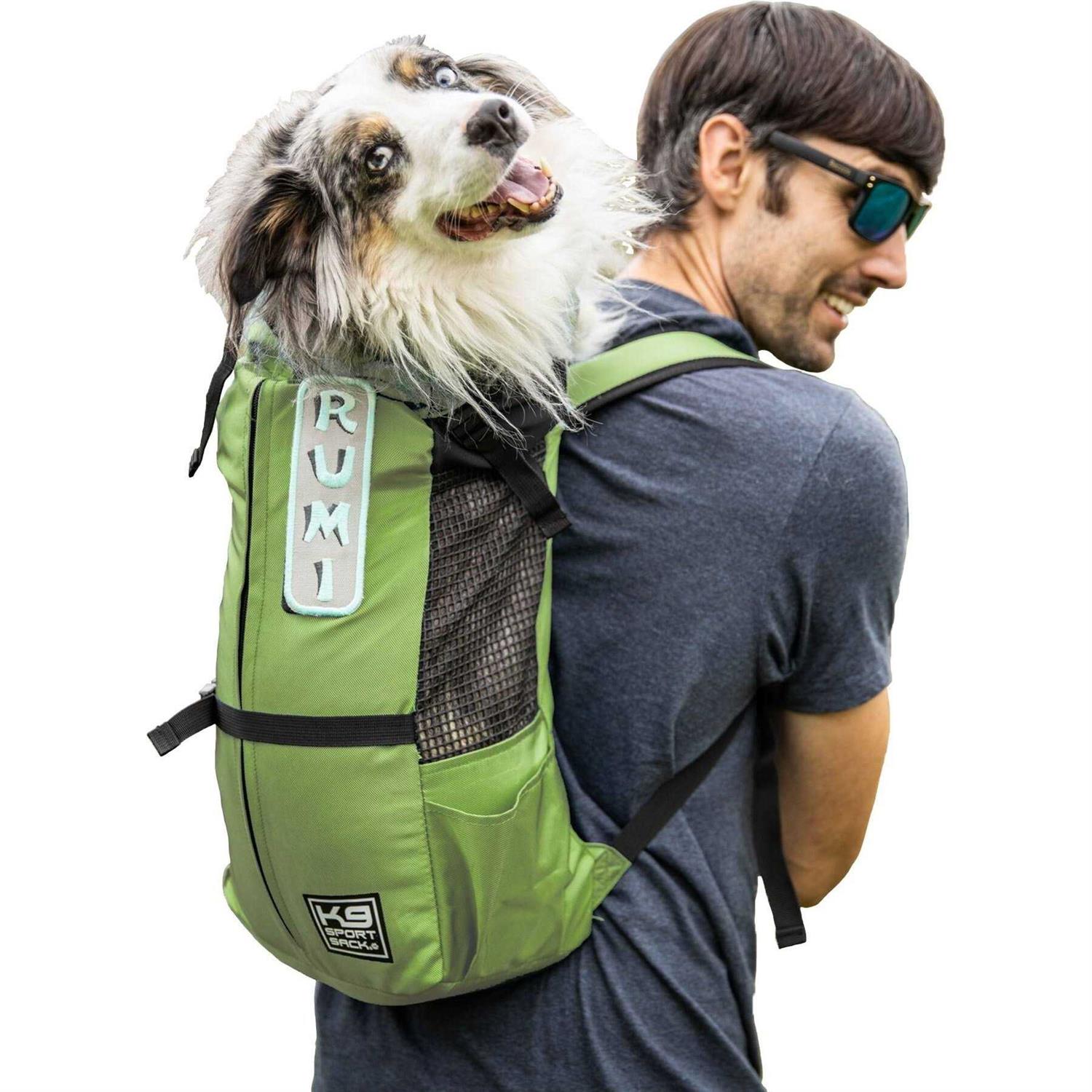 K9 Sport Sack Trainer