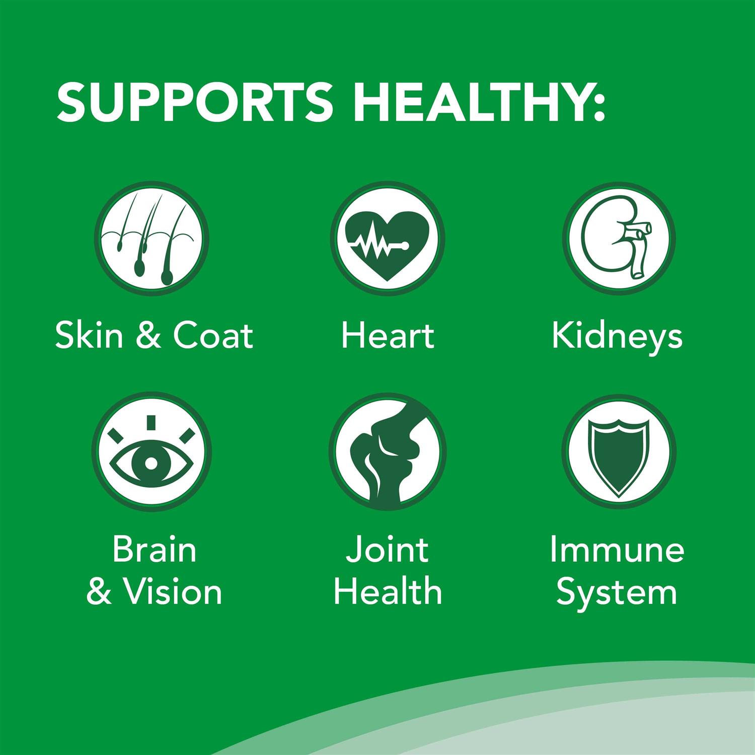 Nutramax Welactin Omega-3 Liquid Skin & Coat Supplement for Dogs