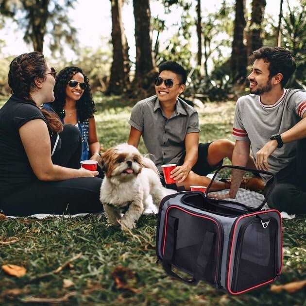 Goopaws Soft-Sided Pet Carrier
